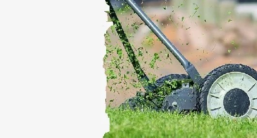 Lawn Making